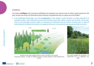 12
Paysageetsylviculture
Lisières
Les lisières rectilignes sont assez peu esthétiques et marquent une cassure avec le milieu ouvert avoisinant. De
plus, la prise aux vents est favorisée et peut menacer le peuplement par un risque accru de chablis*.
•	 Il est préférable d’aménager une lisière progressive à trois étages, l’ourlet herbacé, le cordon arbustif et le
manteau arboré. Cette disposition assure une transition douce des milieux ouverts vers la forêt. D’une part,
c’est un net avantage visuel qui offre un sentiment de continuité entre les milieux. D’autre part, ce type de
lisières favorise la biodiversité, grâce à sa capacité d’accueil, et la protection du peuplement face aux vents.
Schéma d'une lisière étagée externe, entre une forêt et une prairie.
De gauche à droite : La forêt, le manteau arboré, le cordon arbustif, l'ourlet herbacé et la
prairie.
Une lisière étagée est favorable à la
biodiversité et à la résistance aux
vents.
 