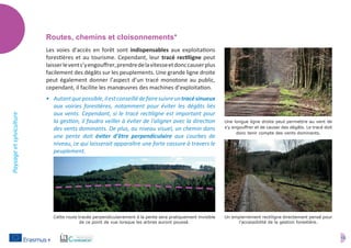 13
Paysageetsylviculture
Routes, chemins et cloisonnements*
Les voies d’accès en forêt sont indispensables aux exploitations
forestières et au tourisme. Cependant, leur tracé rectiligne peut
laisserlevents’yengouffrer,prendredelavitesseetdonccauserplus
facilement des dégâts sur les peuplements. Une grande ligne droite
peut également donner l’aspect d’un tracé monotone au public,
cependant, il facilite les manœuvres des machines d’exploitation.
•	 Autantquepossible,ilestconseillédefairesuivreuntracésinueux
aux voiries forestières, notamment pour éviter les dégâts liés
aux vents. Cependant, si le tracé rectiligne est important pour
la gestion, il faudra veiller à éviter de l'aligner avec la direction
des vents dominants. De plus, au niveau visuel, un chemin dans
une pente doit éviter d’être perpendiculaire aux courbes de
niveau, ce qui laisserait apparaître une forte cassure à travers le
peuplement.
Une longue ligne droite peut permettre au vent de
s'y engouffrer et de causer des dégâts. Le tracé doit
donc tenir compte des vents dominants.
Un empierrement rectiligne directement pensé pour
l’accessibilité de la gestion forestière.
Cette route tracée perpendiculairement à la pente sera pratiquement invisible
de ce point de vue lorsque les arbres auront poussé.
 