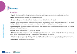 15
Paysageetsylviculture
8	Annexes
A – Lexique
– Aiguille : Feuille modifiée allongée, fine et pointue, caractéristique de nombreuses espèces de conifères.
– Alène : Feuille modifiée effilée et de forme triangulaire.
– Canopée : Étage supérieur de la forêt, directement exposé à la lumière du soleil.
– Chablis : Arbre déraciné sans l’intervention directe de l’homme (vent, neige, pourriture, vieillesse,…). Si l’arbre
n’est pas déraciné mais qu’une cassure se produit au niveau du tronc, il s’agit alors d’un volis.
– Cloisonnement : Ouverture linéaire plus ou moins large réalisée dans les peuplements pour faciliter les travaux
sylvicoles ou les exploitations.
– Écaille : Feuille modifiée mince, charnue ou lignifiée.
– Éclaircie : Réduction progressive de la densité des peuplements visant à favoriser individuellement les meilleurs
sujets et, par une sélection adaptée, à améliorer leur croissance en circonférence.
– Mise à blanc (ou coupe rase) : Abattage de la totalité des arbres présents sur une parcelle d’exploitation forestière.
– Topographie : Disposition, relief d’un lieu.
 