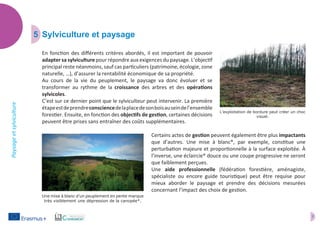 7
Paysageetsylviculture
5	 Sylviculture et paysage
En fonction des différents critères abordés, il est important de pouvoir
adapter sa sylviculture pour répondre aux exigences du paysage. L’objectif
principal reste néanmoins, sauf cas particuliers (patrimoine, écologie, zone
naturelle, …), d’assurer la rentabilité économique de sa propriété.
Au cours de la vie du peuplement, le paysage va donc évoluer et se
transformer au rythme de la croissance des arbres et des opérations
sylvicoles.
C’est sur ce dernier point que le sylviculteur peut intervenir. La première
étapeestdeprendreconsciencedelaplacedesonboisauseindel’ensemble
forestier. Ensuite, en fonction des objectifs de gestion, certaines décisions
peuvent être prises sans entraîner des coûts supplémentaires.
Certains actes de gestion peuvent également être plus impactants
que d’autres. Une mise à blanc*, par exemple, constitue une
perturbation majeure et proportionnelle à la surface exploitée. À
l’inverse, une éclaircie* douce ou une coupe progressive ne seront
que faiblement perçues.
Une aide professionnelle (fédération forestière, aménagiste,
spécialiste ou encore guide touristique) peut être requise pour
mieux aborder le paysage et prendre des décisions mesurées
concernant l’impact des choix de gestion.
L’exploitation de bordure peut créer un choc
visuel.
Une mise à blanc d’un peuplement en pente marque
très visiblement une dépression de la canopée*.
 