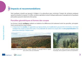 8
Paysageetsylviculture
6	 Impacts et recommandations
Voici quelques conseils qui peuvent s’intégrer à la sylviculture pour minimiser l’impact de certaines pratiques
quand la situation le requiert. En effet, certaines opérations restent indispensables pour le peuplement et quelques
précautions peuvent néanmoins être prises.
Parcelles géométriques et formes des coupes
Les formes à bords rectilignes mettent en évidence les différences de traitement entre les parcelles, principale-
ment concernant les mises à blanc.
•	 En favorisant les courbes, en opposition aux lignes droites, les modifications peuvent être minimisées. Si le tracé
rectiligne des coupes ne peut être évité, il est préférable de réaliser les coupes dans le sens perpendiculaire à la
pente pour diminuer l’impact visuel.
Une parcelle aux bords droits est marquante dans
le paysage, dans sa gestion et dans son exploitation.
Lorsque la sylviculture limite les motifs rectilignes, le paysage revêt un aspect
plus continu dans son ensemble.
 