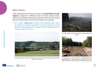 9
Paysageetsylviculture
Mise à blanc
Cette exploitation de surface est toujours une perturbation visuelle
majeure, soulignant la différence avec les arbres voisins encore
debout mais quelques précautions peuvent néanmoins être prises
pour les réaliser avec un minimum d’impact sur le paysage.
•	 Des coupes progressives peuvent être réalisées pour éviter
de mettre à nu toute la parcelle en une seule coupe. Le massif
forestier reste apparent et les arbres prêts à l’exploitation sont
extraits au fur et à mesure.
La mise à blanc est bien souvent mal perçue par le
public.
En résineux, la mise est blanc est généralement
systématique. Cette pratique s'explique par son
apport financier important et sa facilité d'exécution.
La dépression du massif imposé par la mise à blanc est facilement repérable
au sein d'un relief.
 