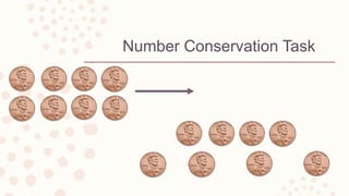 Number Conservation Task
 