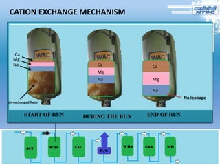 CATION EXCHANGE MECHANISM
START OF RUN DURING THE RUN END OF RUN
Ca
Mg
Na Ca
Na
Mg
Ca
Mg
Na
Un-exchanged Resin
Na leakage
 