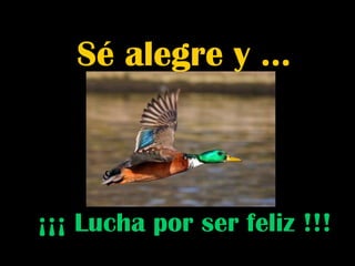 Sé alegre y …



¡¡¡ Lucha por ser feliz !!!
 