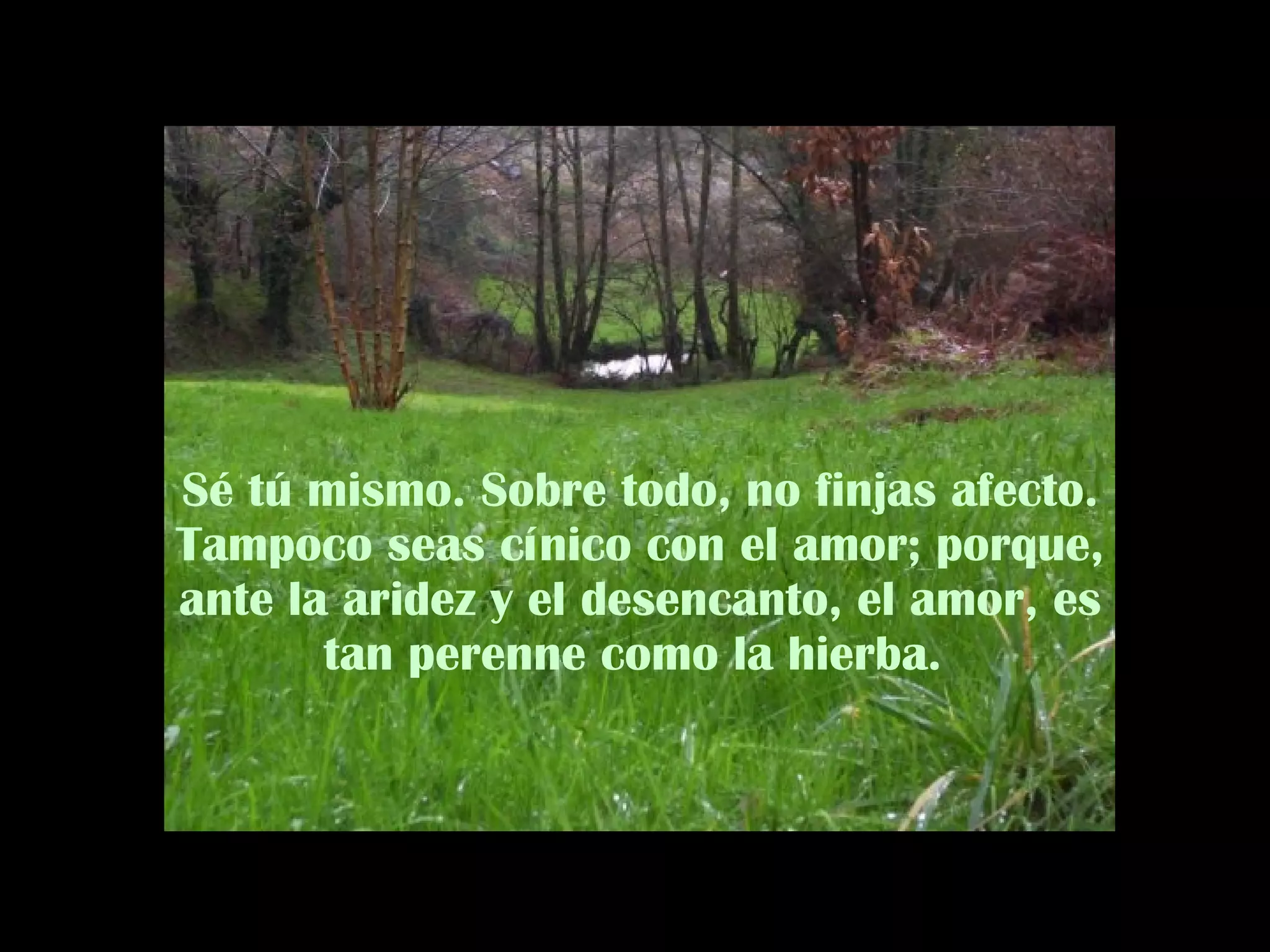 Sé tú mismo. Sobre todo, no finjas afecto. Tampoco seas cínico con el amor; porque, ante la aridez y el desencanto, el amor, es tan perenne como la hierba.  