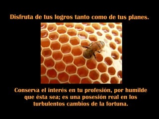 Disfruta de tus logros tanto como de tus planes.  Conserva el interés en tu profesión, por humilde que ésta sea; es una posesión real en los turbulentos cambios de la fortuna. 