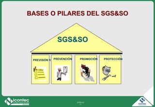 21P03-V2
11
BASES O PILARES DEL SGS&SO
PREVEER
SGS&SO
PREVENCIÓN PROMOCIÓN PROTECCIÓNPREVISIÓN
 