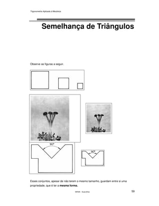 Trigonometria Aplicada à Mecânica
SENAI - Guarulhos 59
Semelhança de Triângulos
Observe as figuras a seguir.
Esses conjuntos, apesar de não terem o mesmo tamanho, guardam entre si uma
propriedade, que é ter a mesma forma.
 