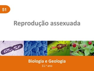 51
Reprodução assexuada
Biologia e Geologia
11.o ano
 