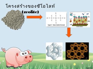 โครงสร้างของซีโอไลท์ 
(zeolite) 
 