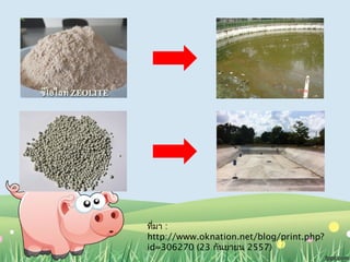 ทมี่า : 
http://www.oknation.net/blog/print.php? 
id=306270 (23 กันยายน 2557) 
 