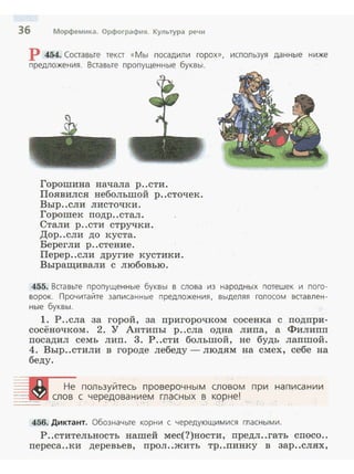 36 Морфемика. Орфография. Культура речи
р 454. Составьте текст «Мы посадили горох», используя данные ниже
п редложения. Вставьте пропущенные буквы.
Горошина начала р..сти.
Появился небольшой р..сточек .
Выр..ели листочки.
Горошек подр..стал .
Стали р..сти стручки.
Дор..ели до куста.
Берегли р..стение.
Перер..ели другие кустики.
Выращивали с любовью.
455. Ваавьте пропущенные буквы в слова из народных потешек и пого­
ворок . П рочитайте записанные предложен ия , выделяя голосом вставлен­
ные буквы.
1. Р..ела за горой, за пригорочком сосенка с подпри­
сосёночком. 2. У Антипы р..сла одна липа, а Филипп
посадил семь лип. 3. Р..сти большой, не будь лапшой.
4. Выр..стили в городе лебеду - людям на смех , себе на
беду.
==м Не пользуйтесь проверочным словом при написании
=-==:::r слов с чередованием гласных в корне!
456. Диктант. Обозначьте корни с чередующим ися гласными.
Р..стительность нашей мес(?)ности, предл..гать спосо..
переса..ки деревьев, прол ..жить тр ..пинку в зар..елях,
 