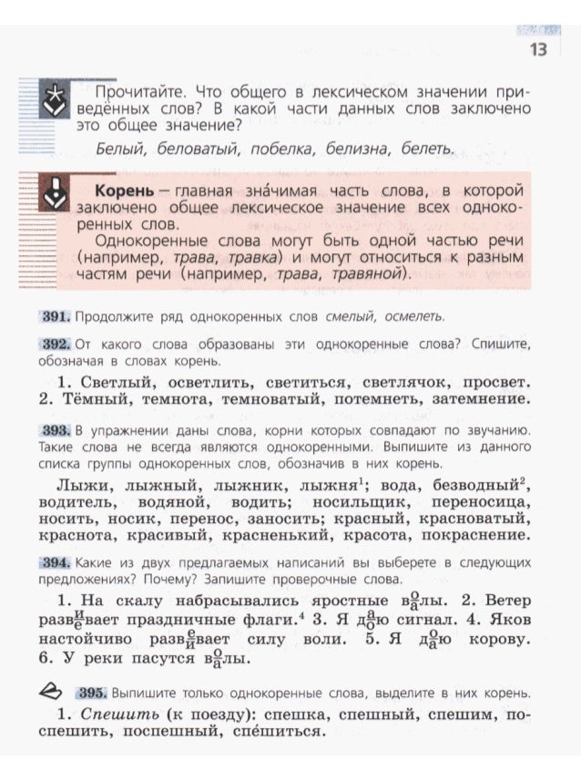 список картин к учебнику русский язык 5 класс львов