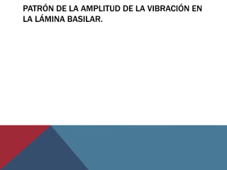 PATRÓN DE LA AMPLITUD DE LA VIBRACIÓN EN
LA LÁMINA BASILAR.
 