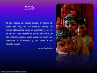 52. ego. pgr. 2016