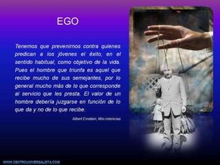 52. ego. pgr. 2016