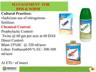 Rice crop production techniques | PPTX