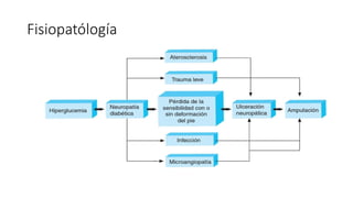 Fisiopatólogía
 