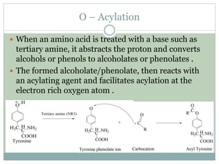 SIDE REACTION IN PEPTIDE SYNTHESIS | PPTX