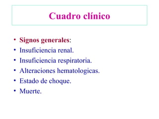 Cuadro clínico Signos generales : Insuficiencia renal. Insuficiencia respiratoria. Alteraciones hematologicas. Estado de choque. Muerte. 