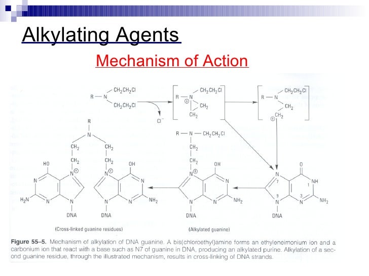 cyclophosphamide mechanism of action