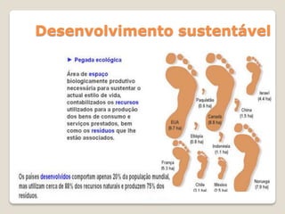 Desenvolvimento sustentável
 