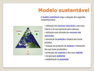 Modelo sustentável
 