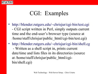 CGI:  Examples http://blender.rutgers.edu/~chrisjur/cgi-bin/test.cgi  - CGI script written in Perl, simply outputs current time and the end-user’s browser type (source at /home/staff/chrisjur/public_html/cgi-bin/test.cgi) http://blender.rutgers.edu/~chrisjur/cgi-bin/shell.cgi  - Written as a shell script in, prints current date/time and lists files in its directories (source at /home/staff/chrisjur/public_html/cgi-bin/shell.cgi) 