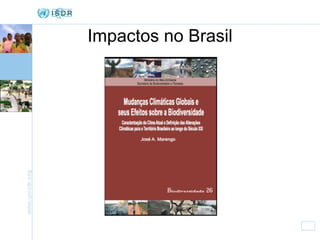 Impactos no Brasil 