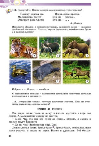 46
114.	Прочитайте. Каким словом заканчивается стихотворение?
– Почему корова эта 	 – Очень даже просто,
Маленького роста? 	 Это же – ребёнок,
Отвечает Вове Света: 	 Это же – ... .
А. Шибаев
Используя образец и фотоиллюстрации, запишите слова – названия
детёнышей животных. Сколько звуков (один или два) обозначает буква
ё в данных словах?
1
4
2
5
3
6
О б р а з е ц. Кошка – котёнок.
С несколькими словами – названиями детёнышей животных составьте
предложения и запишите.
115.	Послушайте сказку, которую прочитает учитель. Как вы пони-
маете выражение зимняя спячка?
ЁЖИК И ЁРШИК
Все звери легли спать на зиму, и ёжики улеглись в норе под
ёлкой. А маленькому ёжику не спится.
– Мам! Что это мы всё спим да спим... Можно, я схожу к
своему другу Ёршику?
– Да ты что? Замёрзнешь ещё. Спи!
Лежал-лежал ёжик, ёрзал-ёрзал , ёрзал-ёрзал, дождался, пока
мама уснула, и вылез из норы. Вылез и удивился. Всё белым-
 