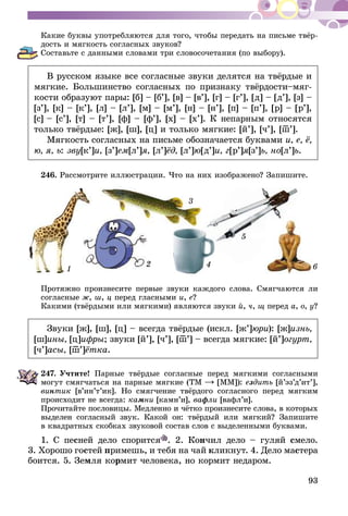 93
Какие буквы употребляются для того, чтобы передать на письме твёр-
дость и мягкость согласных звуков?
Составьте с данными словами три словосочетания (по выбору).
В русском языке все согласные звуки делятся на твёрдые и
мягкие. Большинство согласных по признаку твёрдости–мяг-
кости образуют пары: [б] – [б’], [в] – [в’], [г] – [г’], [д] – [д’], [з] –
[з’], [к] – [к’], [л] – [л’], [м] – [м’], [н] – [н’], [п] – [п’], [р] – [р’],
[с] – [с’], [т] – [т’], [ф] – [ф’], [х] – [х’]. К непарным относятся
только твёрдые: [ж], [ш], [ц] и только мягкие: [й’], [ч’], [ш–’].
Мягкость согласных на письме обозначается буквами и, е, ё,
ю, я, ь: зву[к’]и, [з’]ем[л’]я, [л’]ёд, [л’]ю[д’]и, г[р’]я[з’]ь, но[л’]ь.
246.	Рассмотрите иллюстрации. Что на них изображено? Запишите.
2
3
4
5
61
Протяжно произнесите первые звуки каждого слова. Смягчаются ли
согласные ж, ш, ц перед гласными и, е?
Какими (твёрдыми или мягкими) являются звуки й, ч, щ перед а, о, у?
Звуки [ж], [ш], [ц] – всегда твёрдые (искл. [ж’]юри): [ж]изнь,
[ш]ины, [ц]ифры; звуки [й’], [ч’], [ш–’] – всегда мягкие: [й’]огурт,
[ч’]асы, [ш–’]ётка.
247.	Учтите! Парные твёрдые согласные перед мягкими согласными
могут смягчаться на парные мягкие (ТМ [ММ]): ездить [й’эз’д’ит’],
винтик [в’ин’т’ик]. Но смягчение твёрдого согласного перед мягким
происходит не всегда: камни [камн’и], вафли [вафл’и].
Прочитайте пословицы. Медленно и чётко произнесите слова, в которых
выделен согласный звук. Какой он: твёрдый или мягкий? Запишите
в квадратных скобках звуковой состав слов с выделенными буквами.
1. С песней дело спорится . 2. Кончил дело – гуляй смело.
3. Хо­­рошо гостей примешь, и тебя на чай кликнут. 4. Дело мастера
боится. 5. Земля кормит человека, но кормит недаром.
 