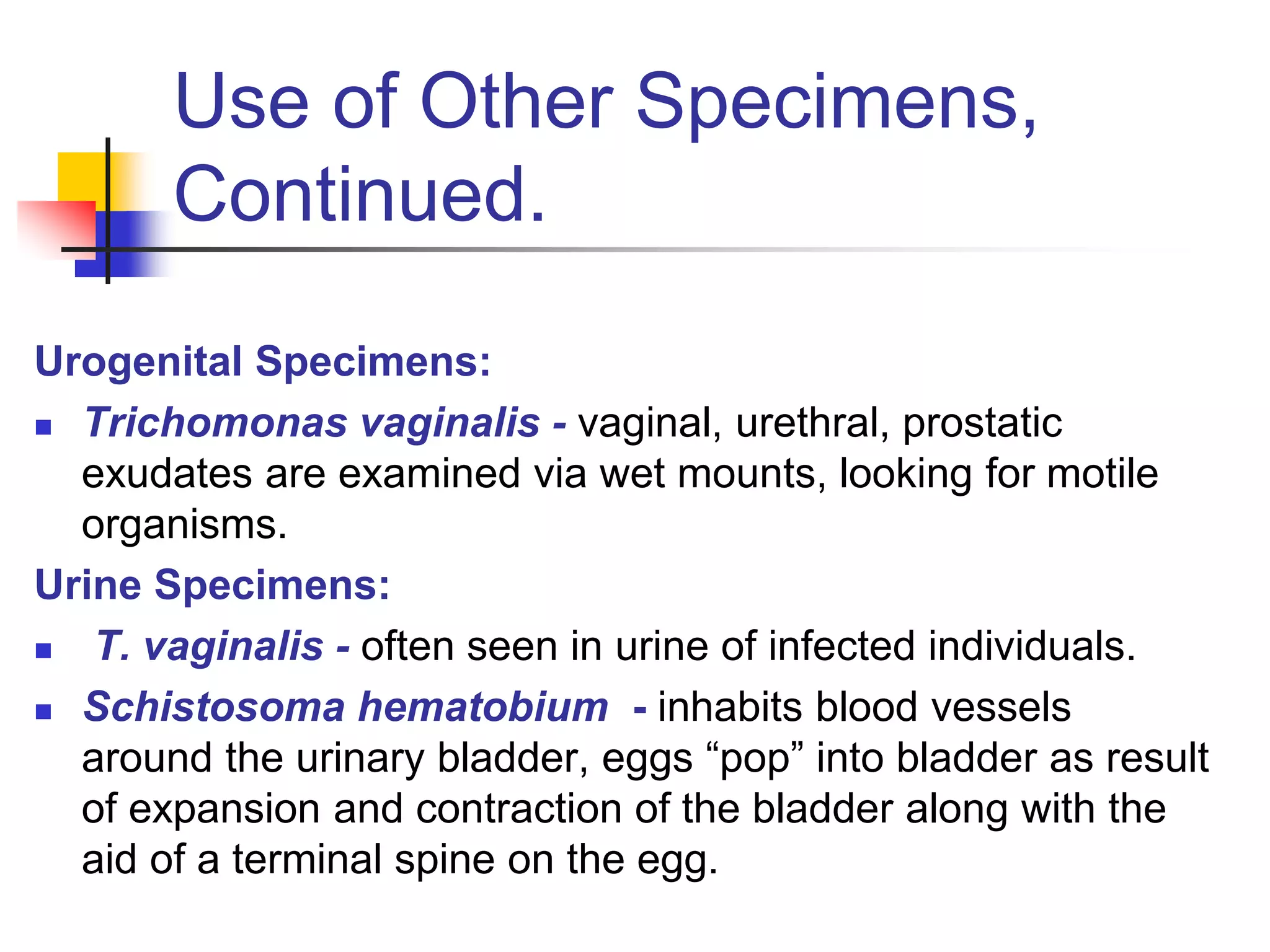 Use of Other Specimens,
Continued.
Urogenital Specimens:
 Trichomonas vaginalis - vaginal, urethral, prostatic
exudates are examined via wet mounts, looking for motile
organisms.
Urine Specimens:
 T. vaginalis - often seen in urine of infected individuals.
 Schistosoma hematobium - inhabits blood vessels
around the urinary bladder, eggs “pop” into bladder as result
of expansion and contraction of the bladder along with the
aid of a terminal spine on the egg.
 