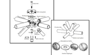 ‫التوصيل‬ ‫مفاصل‬
:
 