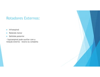 Rotadores Externos:
 Infraespinal
 Redondo menor
 Deltóide posterior
- Supraespinal pode auxiliar com a
rotação externa – neutra ou completa
 
