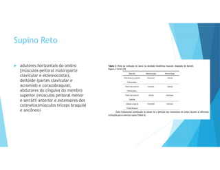 Supino Reto
 adutores horizontais do ombro
[músculos peitoral maior(parte
clavicular e esternocostal),
deltóide (partes clavicular e
acromial) e coracobraquial,
abdutores do cíngulo( do membro
superior (músculos peitoral menor
e serrátil anterior e extensores dos
cotovelos(músculos tríceps braquial
e ancôneo)
 
