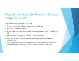 Músculos do Manguito Rotador e Cabeça
Longa do Bíceps:
 Músculos reforçam a cápsula articular
 Protege e estabiliza a GU principalmente na dinâmica
 Tendões se fundem à cápsula
 Estabilidade mecânica da GU dependente da inervação, força e controle do
MR
 MR não cobre duas regiões – inferior e intervalo rotador
 Intervalo rotador – reforço do tendão da cabeça longa do bíceps e lig
coracoumeral
 Tendão da cabeça longa do bíceps braquial – resiste translação anterior e
resiste à migração superior da cabeça umeral (natural da abdução)
 