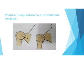 Postura Escapulotorácia e Estabilidade
estática:
 