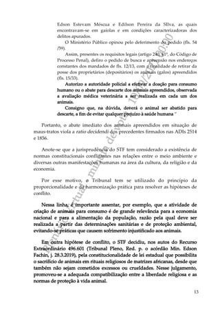 P
l
e
n
á
r
i
o
V
i
r
t
u
a
l
-
m
i
n
u
t
a
d
e
v
o
t
o
-
1
0
/
0
9
/
2
0
2
1
0
0
:
0
0
13
Edson Estevam Méscua e Edilson Pereira da SIlva, as quais
encontravam-se em gaiolas e em condições caracterizadoras dos
delitos apurados.
O Ministério Público opinou pelo deferimento do pedido (fls. 54
/59).
Assim, presentes os requisitos legais (artigo 240, §1º, do Código de
Processo Penal), defiro o pedido de busca e apreensão nos endereços
constantes dos mandados de fls. 12/13, com a finalidade de retirar da
posse dos proprietários (depositários) os animais (galos) apreendidos
(fls. 15/33).
Autorizo a autoridade policial a efetivar a doação para consumo
humano ou o abate para descarte dos animais apreendidos, observada
a avaliação médica veterinária a ser realizada em cada um dos
animais.
Consigno que, na dúvida, deverá o animal ser abatido para
descarte, a fim de evitar qualquer prejuízo à saúde humana ”
Portanto, o abate imediato dos animais apreendidos em situação de
maus-tratos viola a ratio decidendi dos precedentes firmados nas ADIs 2514
e 1856.
Anote-se que a jurisprudência do STF tem considerado a existência de
normas constitucionais conflitantes nas relações entre o meio ambiente e
diversas outras manifestações humanas na área da cultura, da religião e da
economia.
Por esse motivo, o Tribunal tem se utilizado do princípio da
proporcionalidade e da harmonização prática para resolver as hipóteses de
conflito.
Nessa linha, é importante assentar, por exemplo, que a atividade de
criação de animais para consumo é de grande relevância para a economia
nacional e para a alimentação da população, razão pela qual deve ser
realizada a partir das determinações sanitárias e de proteção ambiental,
evitando-se práticas que causem sofrimento injustificado aos animais.
Em outra hipótese de conflito, o STF decidiu, nos autos do Recurso
Extraordinário 496.601 (Tribunal Pleno, Red. p. o acórdão Min. Edson
Fachin, j. 28.3.2019), pela constitucionalidade de lei estadual que possibilita
o sacrifício de animais em rituais religiosos de matrizes africanas, desde que
também não sejam cometidos excessos ou crueldades. Nesse julgamento,
promoveu-se a adequada compatibilização entre a liberdade religiosa e as
normas de proteção à vida animal.
 
