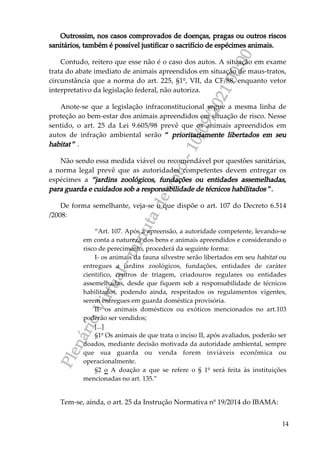 P
l
e
n
á
r
i
o
V
i
r
t
u
a
l
-
m
i
n
u
t
a
d
e
v
o
t
o
-
1
0
/
0
9
/
2
0
2
1
0
0
:
0
0
14
Outrossim, nos casos comprovados de doenças, pragas ou outros riscos
sanitários, também é possível justificar o sacrifício de espécimes animais.
Contudo, reitero que esse não é o caso dos autos. A situação em exame
trata do abate imediato de animais apreendidos em situação de maus-tratos,
circunstância que a norma do art. 225, §1º, VII, da CF/88, enquanto vetor
interpretativo da legislação federal, não autoriza.
Anote-se que a legislação infraconstitucional segue a mesma linha de
proteção ao bem-estar dos animais apreendidos em situação de risco. Nesse
sentido, o art. 25 da Lei 9.605/98 prevê que os animais apreendidos em
autos de infração ambiental serão “ prioritariamente libertados em seu
habitat ” .
Não sendo essa medida viável ou recomendável por questões sanitárias,
a norma legal prevê que as autoridades competentes devem entregar os
espécimes a “jardins zoológicos, fundações ou entidades assemelhadas,
para guarda e cuidados sob a responsabilidade de técnicos habilitados ”.
De forma semelhante, veja-se o que dispõe o art. 107 do Decreto 6.514
/2008:
“Art. 107. Após a apreensão, a autoridade competente, levando-se
em conta a natureza dos bens e animais apreendidos e considerando o
risco de perecimento, procederá da seguinte forma:
I- os animais da fauna silvestre serão libertados em seu habitat ou
entregues a jardins zoológicos, fundações, entidades de caráter
cientifico, centros de triagem, criadouros regulares ou entidades
assemelhadas, desde que fiquem sob a responsabilidade de técnicos
habilitados, podendo ainda, respeitados os regulamentos vigentes,
serem entregues em guarda doméstica provisória.
II- os animais domésticos ou exóticos mencionados no art.103
poderão ser vendidos;
[...]
§1º Os animais de que trata o inciso II, após avaliados, poderão ser
doados, mediante decisão motivada da autoridade ambiental, sempre
que sua guarda ou venda forem inviáveis econômica ou
operacionalmente.
§2 o A doação a que se refere o § 1º será feita às instituições
mencionadas no art. 135.”
Tem-se, ainda, o art. 25 da Instrução Normativa nº 19/2014 do IBAMA:
 