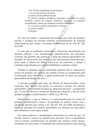 P
l
e
n
á
r
i
o
V
i
r
t
u
a
l
-
m
i
n
u
t
a
d
e
v
o
t
o
-
1
0
/
0
9
/
2
0
2
1
0
0
:
0
0
15
“Art. 25. São modalidades de destinação:
I - no caso de animais silvestres:
a) soltura em seu habitat natural;
b) cativeiro (jardins zoológicos, fundações, entidades de caráter
científico, centros de triagem, criadouros regulares ou entidades
assemelhadas), desde que confiados a técnicos habilitados;
II - no caso de animais domésticos e exóticos:
a) venda ou leilão;
b) doação;”
No caso em análise, o requerente demonstrou, para além de qualquer
dúvida, a prolação de decisões judiciais e a manifestação de posições
administrativas que violam o comando constitucional do art. 225, §1º, VII,
da CF/88.
É certo que os problemas estruturais e financeiros mencionados nas
decisões judiciais e nas manifestações administrativas são relevantes.
Contudo, tais questões não autorizam o abate dos animais apreendidos em
situações de maus-tratos, mas sim o uso dos instrumentos acima descritos,
quais sejam a soltura em habitat natural ou em cativeiros, a doação a
entidades especializadas ou a pessoas habilitadas e inclusive o leilão.
Percebe-se, portanto, que as autoridades públicas têm se utilizado da
norma de proteção aos animais em sentido inverso ao estabelecido pela
Constituição, para determinar a opção preferencial de abate de animais
apreendidos em situação de risco.
A decisão proferida pela Juíza de Direito de Patrocínio/MG, acima
transcrita, bem elucida esse ponto, ao autorizar a doação dos animais
apreendidos “para consumo humano ou abate para descarte” , consignando
que “na dúvida, deverá o animal ser abatido para descarte, a fim de evitar
qualquer prejuízo à saúde humana ” (eDOC 2, p. 109-111).
Nesses casos, o que se observa é a instrumentalização da norma de
proteção constitucional à fauna e de proibição de práticas cruéis, com a
adoção de decisões que violam o art. 225, §1º, VII, da CF/88, invertendo a
lógica de proteção dos animais apreendidos em situação de maus-tratos
para estabelecer, como regra, o abate.
Em outras palavras, a interpretação colacionada aos autos de que “na
dúvida, deverá o animal ser abatido para descarte” não se compatibiliza
com as normas constitucionais de proteção dos animais contra abusos,
crueldades ou maus-tratos. A finalidade das normas protetivas não autoriza
 