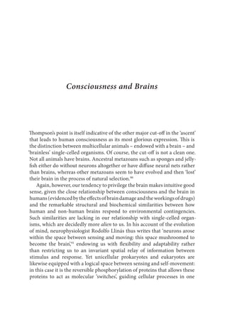 Minimal Selfhood And The Origins Of Consciousness Rupert Glasgow | PDF
