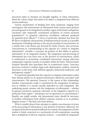 Minimal Selfhood And The Origins Of Consciousness Rupert Glasgow | PDF