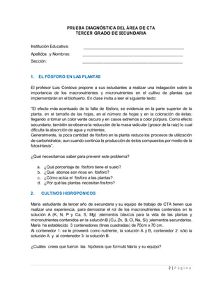 2 | P á g i n a
PRUEBA DIAGNÓSTICA DEL ÁREA DE CTA
TERCER GRADO DE SECUNDARIA
Institución Educativa:
Apellidos y Nombres: _________________________________________
Sección: _________________________________________
1. EL FÓSFORO EN LAS PLANTAS
El profesor Luis Córdova propone a sus estudiantes a realizar una indagación sobre la
importancia de los macronutrientes y micronutrientes en el cultivo de plantas que
implementarán en el biohuerto. En clase invita a leer el siguiente texto:
“El efecto más acentuado de la falta de fósforo, se evidencia en la parte superior de la
planta, en el tamaño de las hojas, en el número de hojas y en la coloración de éstas;
llegando a tomar un color verde oscuro y en casos extremos a color púrpura. Como efecto
secundario, también se observa la reducción de la masa radicular (grosor de la raíz) lo cual
dificulta la absorción de agua y nutrientes.
Generalmente, la poca cantidad de fósforo en la planta reduce los procesos de utilización
de carbohidratos; aun cuando continúa la producción de éstos compuestos por medio de la
fotosíntesis”.
¿Qué necesitamos saber para prevenir este problema?
a. ¿Qué porcentaje de fósforo tiene el suelo?
b. ¿Qué abonos son ricos en fósforo?
c. ¿Cómo actúa el fósforo a las plantas?
d. ¿Por qué las plantas necesitan fosforo?
2. CULTIVOS HIDROPONICOS
María estudiante de tercer año de secundaria y su equipo de trabajo de CTA tienen que
realizar una experiencia, para demostrar el rol de los macronutrientes contenidos en la
solución A (K, N, P y Ca, S, Mg) ;elementos básicos para la vida de las plantas y
micronutrientes contenidos en la solución B (Cu, Zn, B, Cl, Na, Si) ;elementos secundarios.
María ha establecido 3 contenedores (tinas cuadradas) de 70cm x 70 cm.
Al contenedor 1: se le proveerá como nutriente, la solución A y B, contenedor 2: sólo la
solución A. y al contenedor 3: la solución B.
¿Cuáles crees que fueron las hipótesis que formuló María y su equipo?
 