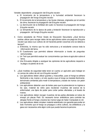 4
Variable dependiente: propagación del Erisyphe necator.
a. El incremento de la temperatura y la humedad ambiental favorecen la
propagación del hongo Erisyphe necator.
b. El incremento de la temperatura y las lluvias intensas, originados por el cambio
de clima, favorecen la propagación del Erisyphe necator.
c. La disminución de la fertilidad del suelo no favorece la propagación del hongo
Erisyphe necator.
d. La temperatura de la época de poda y brotación favorecen la reproducción y
propagación del hongo Erisyphe necator.
4. Como estudiante de Primer Grado de Educación Secundaria ¿Qué técnica
podrías utilizar para recoger datos de los agricultores sobre una plaga de Erisyphe
necator que ataca sus cultivos de vid haciendo perder cosechas sino se detecta a
tiempo?:
a. Entrevista, la misma que ha sido estructura y el estudiante conoce toda la
información del tema.
b. El Cuestionario que permitirá obtener información a través de preguntas
estructuradas.
c. Un Test que permitirá evaluar los conocimientos que tiene el agricultor sobre el
tema.
d. Una Encuesta dirigida a averiguar las opiniones de los agricultores respecto a
la plaga a la planta de la vid.
5. ¿Qué medidas de seguridad debe tener en cuenta un agricultor para trabajar en
un campo de cultivo de vid con Erisyphe necator?
a. Los agricultores deben utilizar guantes y mascarillas, pues el hongo se adhiere
fácilmente a las manos y el aire ayuda a que el hongo se traslade fácilmente;
termómetro ambiental para medir la temperatura y lavado de manos con jabón
antibacterial.
b. Los agricultores deberían usar de lentes para que la pulverulencia no ingrese a
los ojos, material de vidrio para recolectar muestras del avance de la
enfermedad, una tijera de podar para cortar partes afectadas y el lavado de
manos.
c. Los agricultores deben recoger muestras de las partes afectadas en tubos de
ensayo y/o placas Petri. Es necesario tomar antibióticos para controlar las
alergias frente al hongo y lavarse las manos luego de haber manipulado la vid.
d. Los agricultores deben emplear material esterilizado con garantía para evitar en
todo momento que el hongo se propague a otros cultivos, los antibióticos y la
gasa son necesarios ante algún corte que pueda hacerse la persona-
 