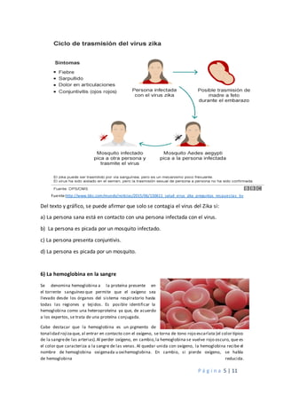 P á g i n a 5 | 11
Fuente:http://www.bbc.com/mundo/noticias/2015/06/150611_salud_virus_zika_preguntas_respuestas_kv
Del texto y gráfico, se puede afirmar que solo se contagia el virus del Zika si:
a) La persona sana está en contacto con una persona infectada con el virus.
b) La persona es picada por un mosquito infectado.
c) La persona presenta conjuntivis.
d) La persona es picada por un mosquito.
6) La hemoglobina en la sangre
Se denomina hemoglobina a la proteína presente en
el torrente sanguíneo que permite que el oxígeno sea
llevado desde los órganos del sistema respiratorio hasta
todas las regiones y tejidos. Es posible identificar la
hemoglobina como una heteroproteína ya que, de acuerdo
a los expertos, se trata de una proteína conjugada.
Cabe destacar que la hemoglobina es un pigmento de
tonalidad rojizaque, al entrar en contacto con el oxígeno, se torna de tono rojo escarlata (el color típico
de la sangrede las arterias).Al perder oxígeno, en cambio,la hemoglobina se vuelve rojo oscuro, que es
el color que caracteriza a la sangre de las venas. Al quedar unida con oxígeno, la hemoglobina recibe el
nombre de hemoglobina oxigenada u oxihemoglobina. En cambio, si pierde oxígeno, se habla
de hemoglobina reducida.
 