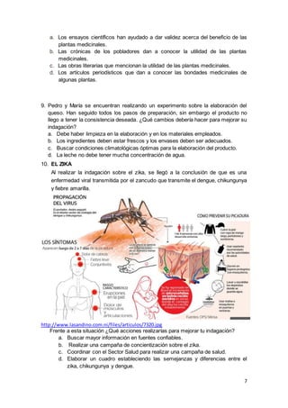 7
a. Los ensayos científicos han ayudado a dar validez acerca del beneficio de las
plantas medicinales.
b. Las crónicas de los pobladores dan a conocer la utilidad de las plantas
medicinales.
c. Las obras literarias que mencionan la utilidad de las plantas medicinales.
d. Los artículos periodísticos que dan a conocer las bondades medicinales de
algunas plantas.
9. Pedro y María se encuentran realizando un experimento sobre la elaboración del
queso. Han seguido todos los pasos de preparación, sin embargo el producto no
llego a tener la consistencia deseada. ¿Qué cambios debería hacer para mejorar su
indagación?
a. Debe haber limpieza en la elaboración y en los materiales empleados.
b. Los ingredientes deben estar frescos y los envases deben ser adecuados.
c. Buscar condiciones climatológicas óptimas para la elaboración del producto.
d. La leche no debe tener mucha concentración de agua.
10. EL ZIKA
Al realizar la indagación sobre el zika, se llegó a la conclusión de que es una
enfermedad viral transmitida por el zancudo que transmite el dengue, chikungunya
y fiebre amarilla.
http://www.lasandino.com.ni/files/articulos/7320.jpg
Frente a esta situación ¿Qué acciones realizarías para mejorar tu indagación?
a. Buscar mayor información en fuentes confiables.
b. Realizar una campaña de concientización sobre el zika.
c. Coordinar con el Sector Salud para realizar una campaña de salud.
d. Elaborar un cuadro estableciendo las semejanzas y diferencias entre el
zika, chikungunya y dengue.
 