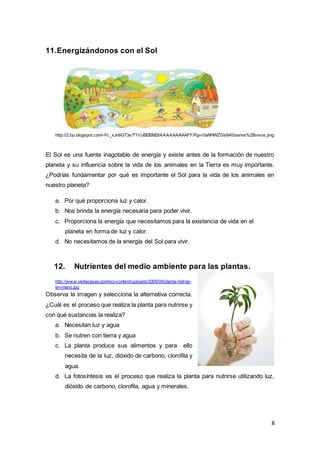 8
11.Energizándonos con el Sol
http://2.bp.blogspot.com/-Fc_xJn6G73s/T1VuBEISM2I/AAAAAAAAAFY/Fgvr0aNHWZ0/s640/seres%2Bvivos.png
El Sol es una fuente inagotable de energía y existe antes de la formación de nuestro
planeta y su influencia sobre la vida de los animales en la Tierra es muy importante.
¿Podrías fundamentar por qué es importante el Sol para la vida de los animales en
nuestro planeta?
a. Por qué proporciona luz y calor.
b. Nos brinda la energía necesaria para poder vivir.
c. Proporciona la energía que necesitamos para la existencia de vida en el
planeta en forma de luz y calor.
d. No necesitamos de la energía del Sol para vivir.
12. Nutrientes del medio ambiente para las plantas.
http://www.visitacasas.com/wp-content/uploads/2009/08/planta-hidrop-
en-mano.jpg
Observa la imagen y selecciona la alternativa correcta.
¿Cuál es el proceso que realiza la planta para nutrirse y
con qué sustancias la realiza?
a. Necesitan luz y agua
b. Se nutren con tierra y agua
c. La planta produce sus alimentos y para ello
necesita de la luz, dióxido de carbono, clorofila y
agua.
d. La fotosíntesis es el proceso que realiza la planta para nutrirse utilizando luz,
dióxido de carbono, clorofila, agua y minerales.
 