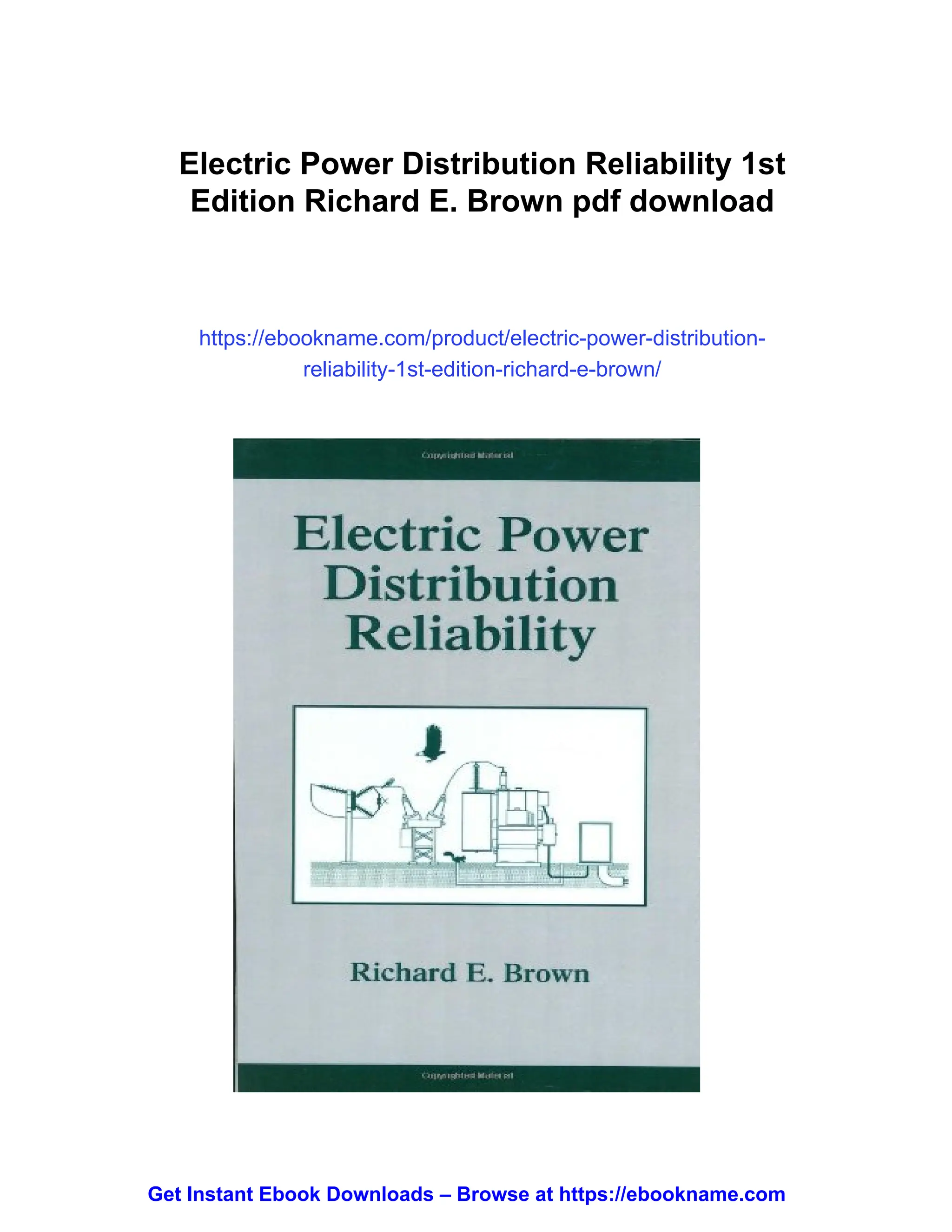 Electric Power Distribution Reliability 1st Edition Richard E