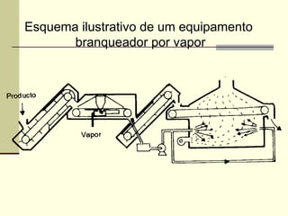 Esquema ilustrativo de um equipamento
branqueador por vapor
 